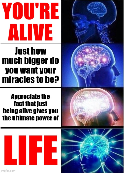 Life | You're alive; Just how much bigger do you want your miracles to be? Appreciate the fact that just being alive gives you the ultimate power of; LIFE | image tagged in memes,live,laugh,love,knowledge is power,the great awakening | made w/ Imgflip meme maker