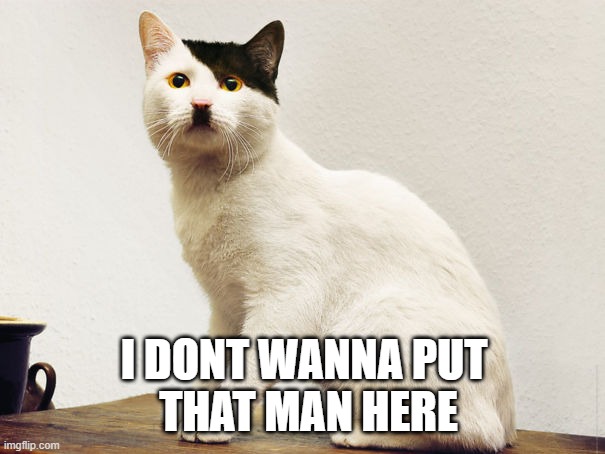 Hitler Cat | i dont wanna put 
that man here | image tagged in hitler cat | made w/ Imgflip meme maker