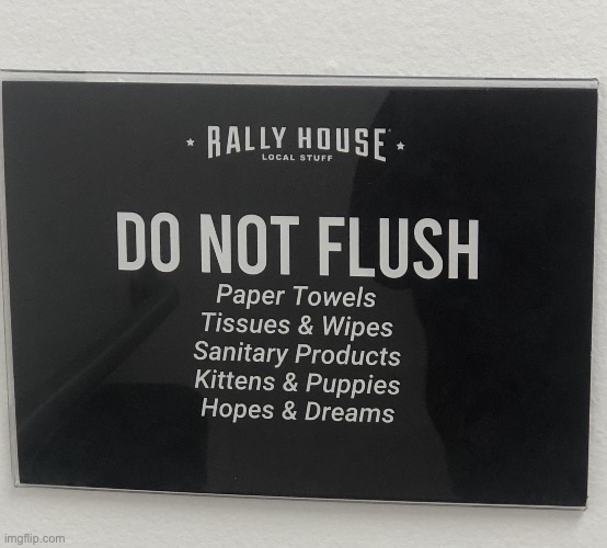 Kittens and puppies?!? | image tagged in flush rally house down the toilet | made w/ Imgflip meme maker