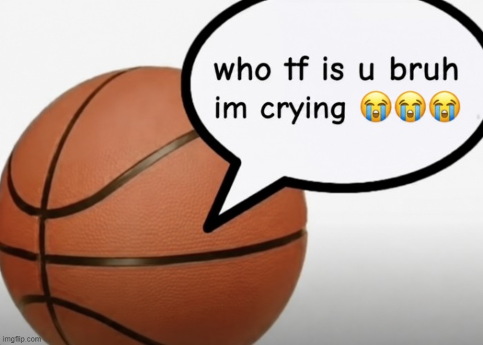 who tf is u bruh im crying | image tagged in who tf is u bruh im crying | made w/ Imgflip meme maker