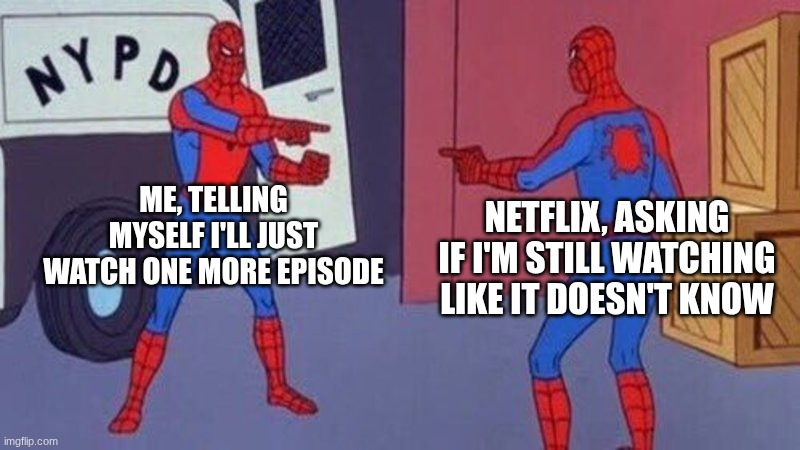 1Stop playing with me | ME, TELLING MYSELF I'LL JUST WATCH ONE MORE EPISODE; NETFLIX, ASKING IF I'M STILL WATCHING LIKE IT DOESN'T KNOW | image tagged in spiderman pointing at spiderman | made w/ Imgflip meme maker