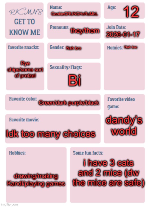 Cuz why not? | 12; CookieCRUNCHcRuMbL; they/them; 2026-01-17; Nah bro; Nah bro; Rye chips/some sort of pretzel; Bi; Green/dark purple/black; dandy’s world; Idk too many choices; i have 3 cats and 2 mice (dw the mice are safe); drawing/making Kandi/playing games | image tagged in oh wow are you actually reading these tags,well this is awkward,why is the fbi here | made w/ Imgflip meme maker