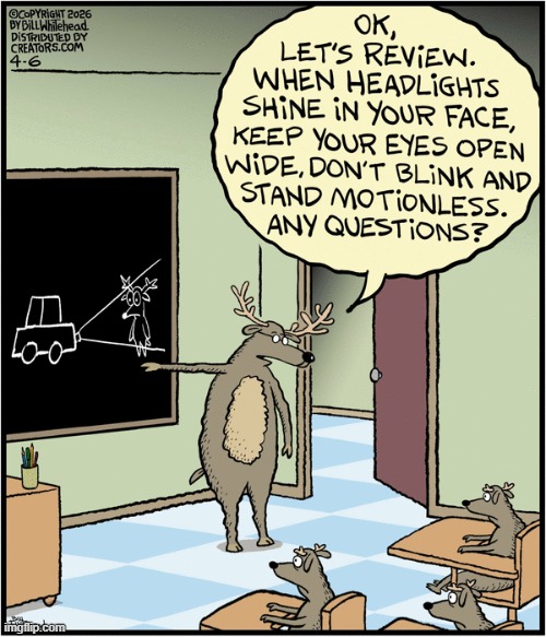 Free Range | image tagged in comics | made w/ Imgflip meme maker