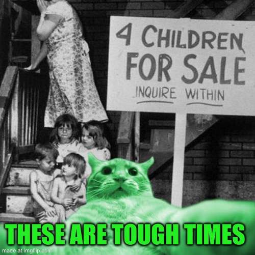 RayCat Great Depression | These are tough times | image tagged in raycat great depression | made w/ Imgflip meme maker