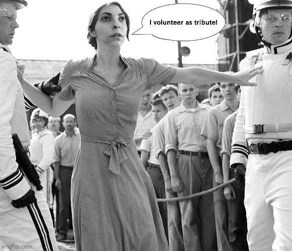 image tagged in i volunteer as tribute | made w/ Imgflip meme maker