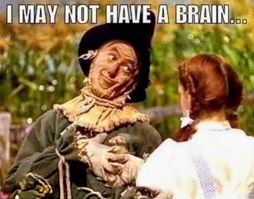 High Quality Scarecrow Dorothy Blank Meme Template