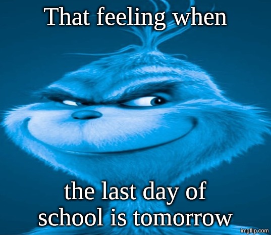 yahooooooooooooooooooo | That feeling when; the last day of school is tomorrow | image tagged in blue grinch,yippee | made w/ Imgflip meme maker