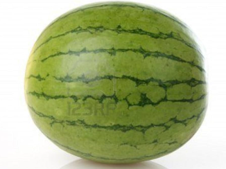High Quality watermelon Blank Meme Template