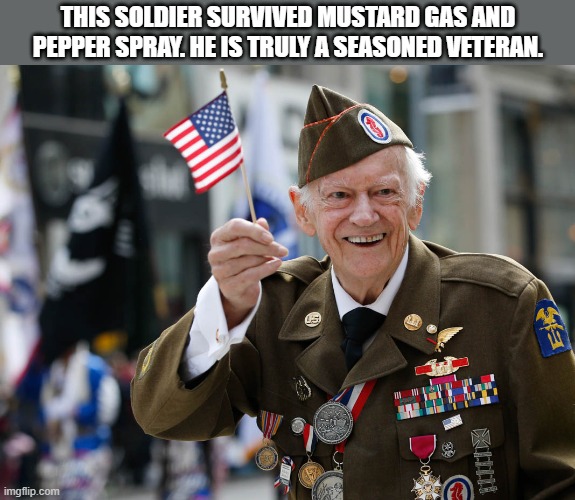 This soldier was pepper sprayed & agent orange. He is a seasoned soldier. | This soldier survived mustard gas and pepper spray. He is truly a seasoned veteran. | image tagged in funny,humor,soldier,brave,play on words | made w/ Imgflip meme maker