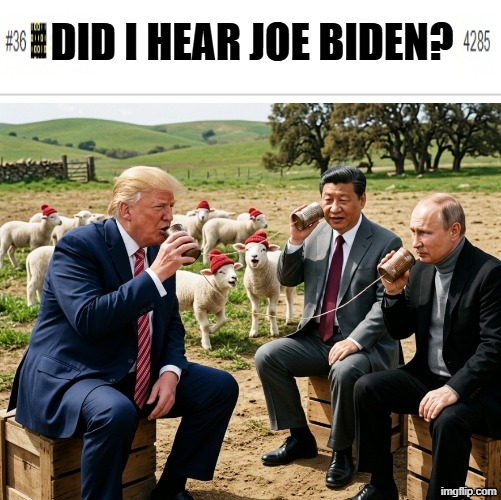 DID I HEAR JOE BIDEN? | DID I HEAR JOE BIDEN? | image tagged in donald trump,vladimir putin,xi jinping,gas prices solar car meme,red background,dr fauci | made w/ Imgflip meme maker
