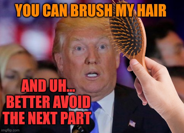 confused trump | You can brush my hair; And uh... Better avoid the next part | image tagged in confused trump | made w/ Imgflip meme maker