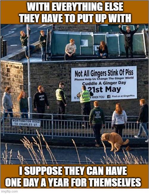 21st May - Hug A Ginger Day | With everything else they have to put up with; I suppose they can have
one day a year for themselves | image tagged in gingers,hugging,date | made w/ Imgflip meme maker