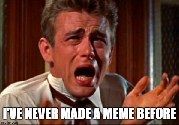 frustrating | I've never made a MEME before | image tagged in frustrating | made w/ Imgflip meme maker