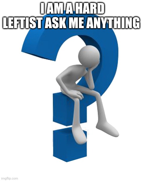 rules are that you must be respectful, and you must cite sources when giving examples | I am a hard leftist ask me anything | image tagged in question mark | made w/ Imgflip meme maker