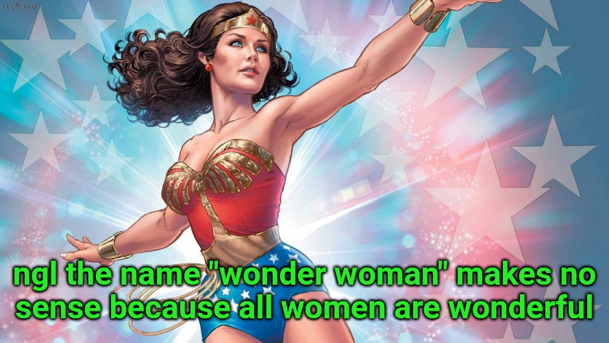Wonder Woman | ngl the name "wonder woman" makes no
sense because all women are wonderful | image tagged in wonder woman | made w/ Imgflip meme maker