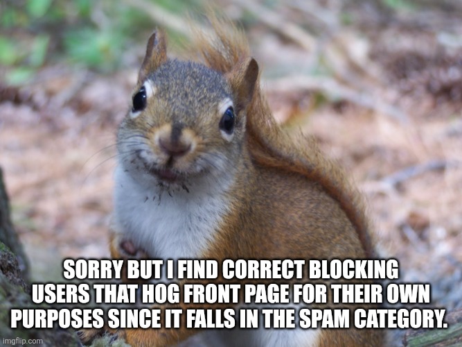 Here. Have a squirrel. | Sorry but I find correct blocking users that hog front page for their own purposes since it falls in the spam category. | image tagged in sorry not sorry squirrel | made w/ Imgflip meme maker