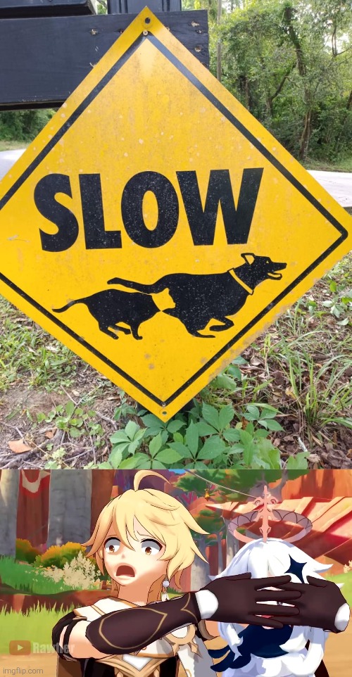 Oh hell no! | image tagged in cat,dog,sign | made w/ Imgflip meme maker