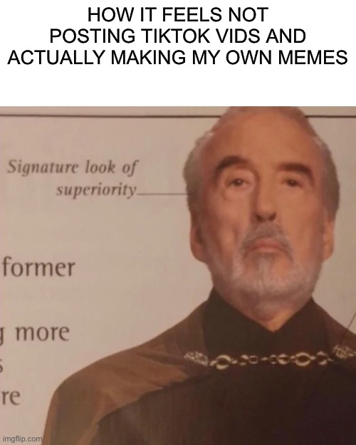 I know nobody gaf | How it feels not posting tiktok vids and actually making my own memes | image tagged in signature look of superiority | made w/ Imgflip meme maker