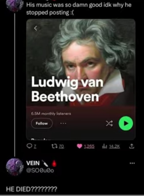 "How do we tell him" aah moment | image tagged in beethoven,music,spotify,death,clueless,piano | made w/ Imgflip meme maker