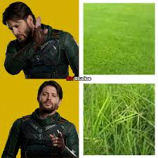 soldier boy grass Blank Meme Template