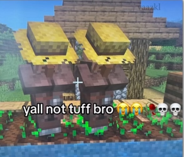 image tagged in minecraft,villagers,tuff,looking down,gaming,video games | made w/ Imgflip meme maker