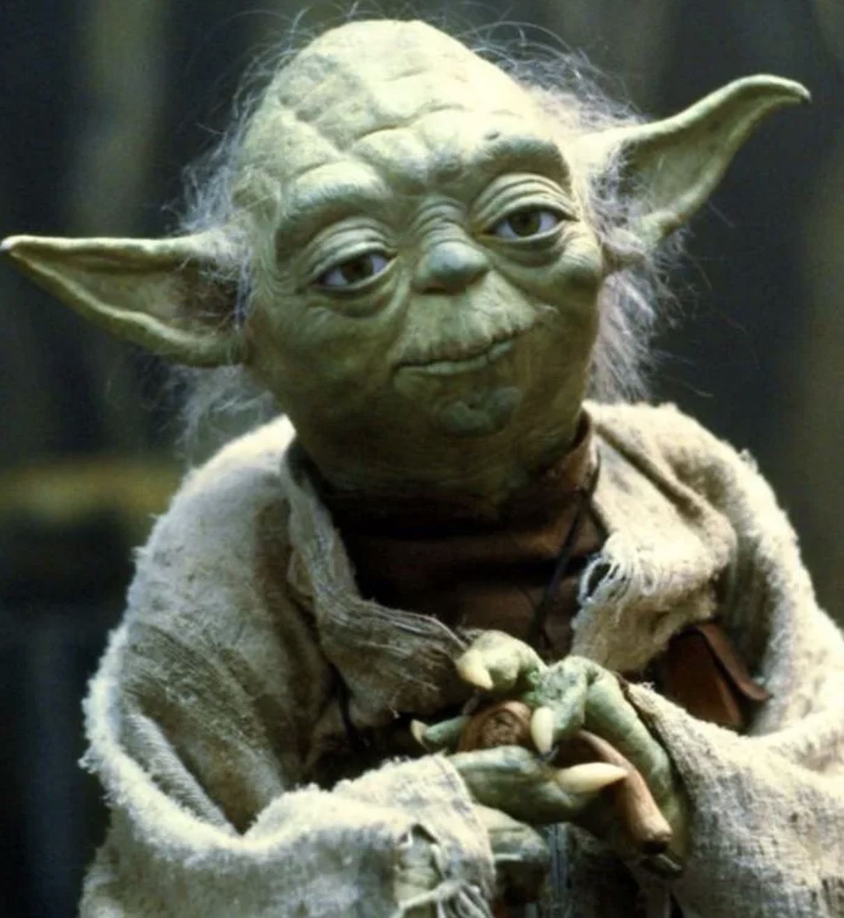 Yoda Blank Meme Template