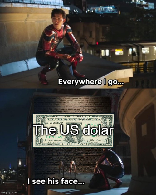 you 100% seen it... i bet that you sseen it for real | The US dolar | image tagged in everywhere i go i see his face,usa,tv,relatable | made w/ Imgflip meme maker