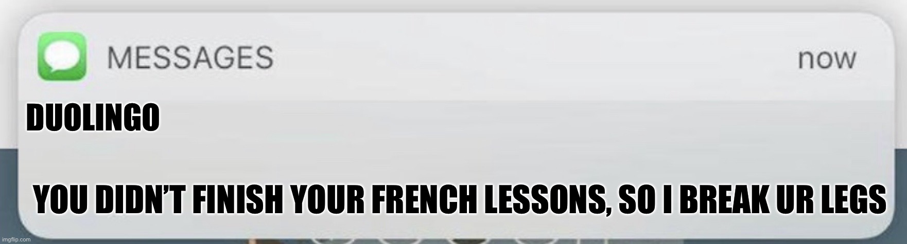 Messages | Duolingo; You didn’t finish your French lessons, so I break ur legs | image tagged in messages | made w/ Imgflip meme maker