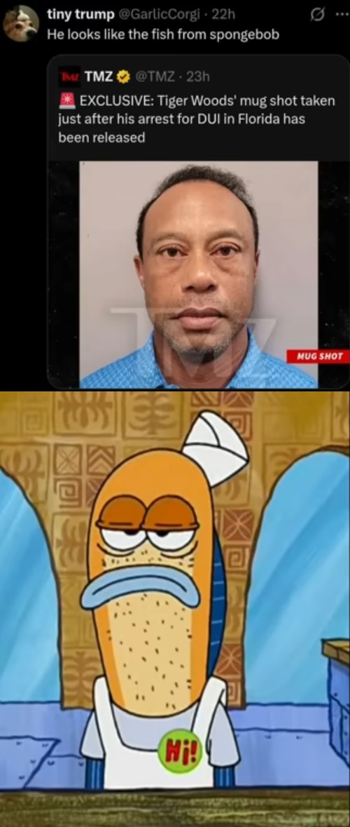 image tagged in tiger woods,golf,fish,spongebob,insults,funny | made w/ Imgflip meme maker