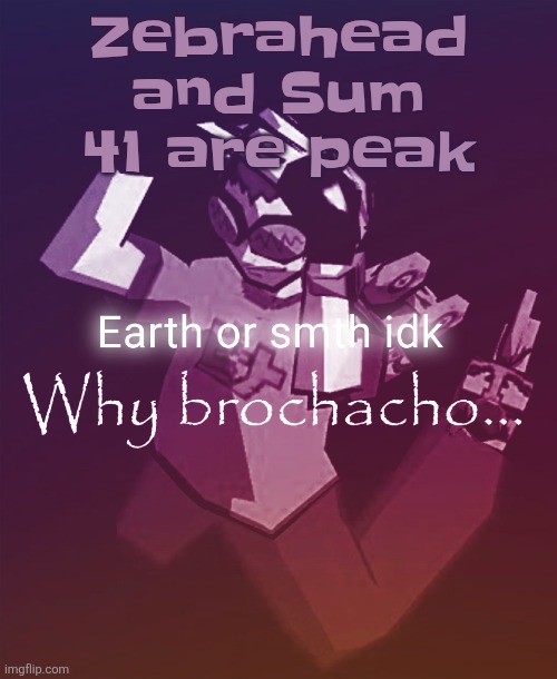 Why brochacho | Zebrahead and Sum 41 are peak | image tagged in why brochacho | made w/ Imgflip meme maker