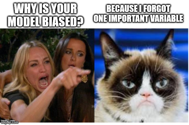 Woman yelling a Grumpy Cat | Because I forgot one important variable; Why is your model biased? | image tagged in woman yelling a grumpy cat | made w/ Imgflip meme maker