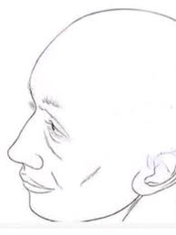Human Line Profile Blank Meme Template