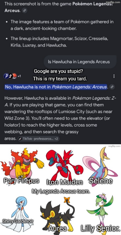 Google is stupid | This is my team you tard. | image tagged in google,pokemon | made w/ Imgflip meme maker