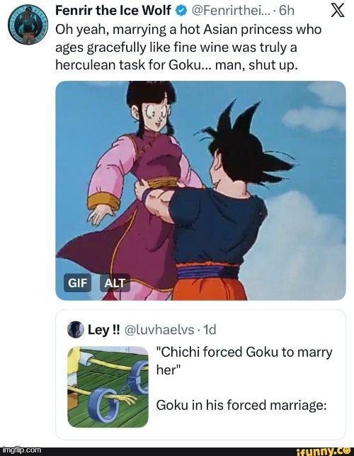 Goku marries chinese girl whos 68 yrs old | image tagged in goku | made w/ Imgflip meme maker