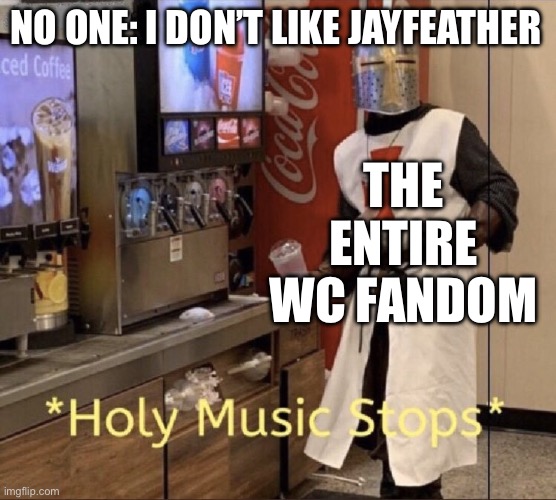 Aur naur | No one: I don’t like jayfeather; The entire WC FANDOM | image tagged in holy music stops | made w/ Imgflip meme maker