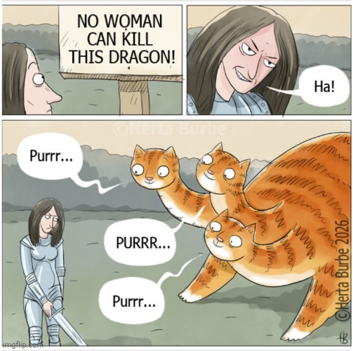 Feline Hydragon: | image tagged in funny,cute cat,dragon,funny memes | made w/ Imgflip meme maker