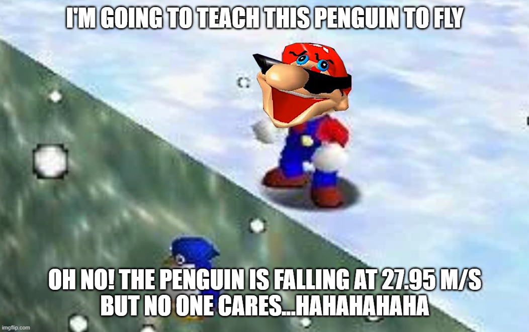 Penguin Drop | i'm going to teach this penguin to fly; oh no! the penguin is falling at 27.95 m/s
but no one cares...hahahahaha | image tagged in mario suffer more penguin drop super mario 64 | made w/ Imgflip meme maker