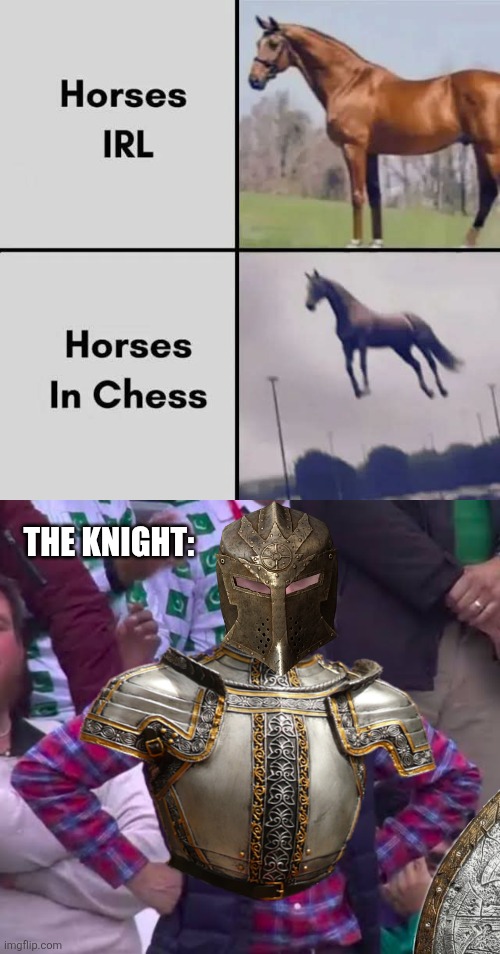 Where's the knight? | The knight: | image tagged in horses,in real life,vs,chess,horse,knight | made w/ Imgflip meme maker
