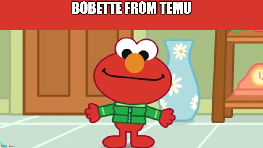 Bobette from TEMU | Bobette From TEMU | image tagged in temu,bobette,funny,memes | made w/ Imgflip meme maker