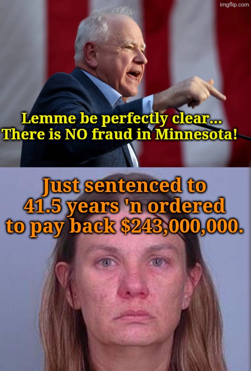 The Land of 10,000 Snakes. | Lemme be perfectly clear... There is NO fraud in Minnesota! Just sentenced to 41.5 years 'n ordered to pay back $243,000,000. | made w/ Imgflip meme maker