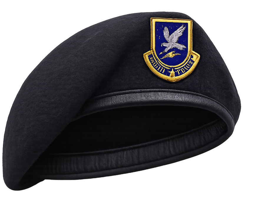 Security Forces Beret Blank Meme Template