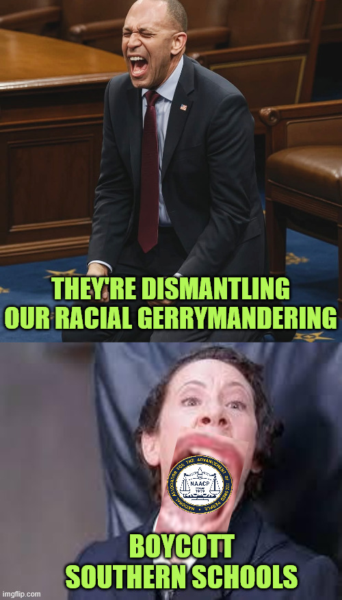 SCOTUS outlaws racial redistricting | They're dismantling our racial gerrymandering; Boycott Southern Schools | image tagged in hakeem jeffries,naccp,racist redistricting,outlawed | made w/ Imgflip meme maker