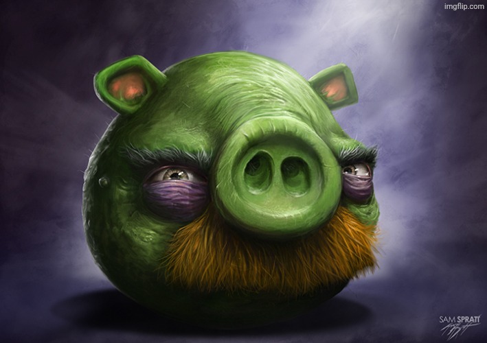 Realistic angry birds | image tagged in realistic angry birds | made w/ Imgflip meme maker