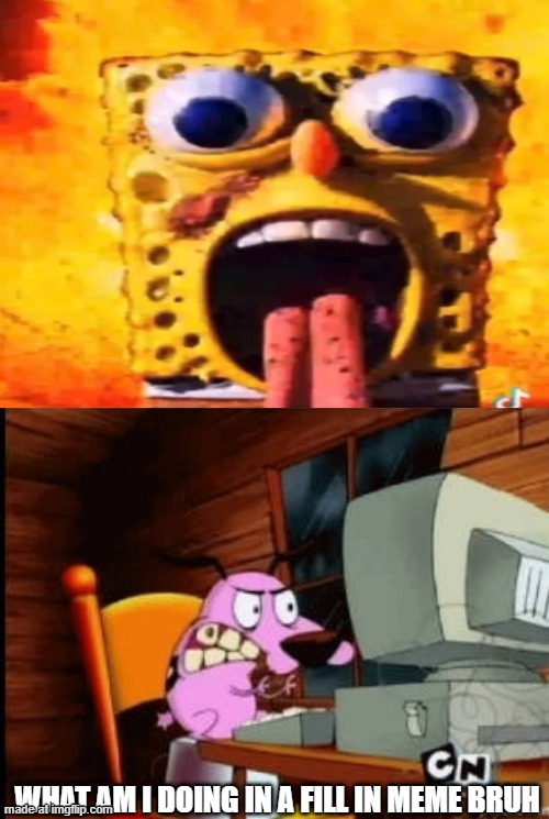 Huh???? | WHAT AM I DOING IN A FILL IN MEME BRUH | image tagged in huh | made w/ Imgflip meme maker