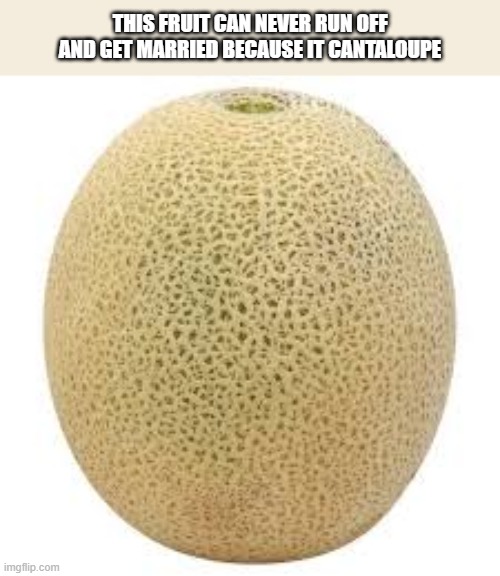 This fruit can never run off and get married. Why?     --  funny  -- | this fruit can never run off and get married because it cantaloupe | image tagged in funny,humor,play on words,fruit,marriage | made w/ Imgflip meme maker