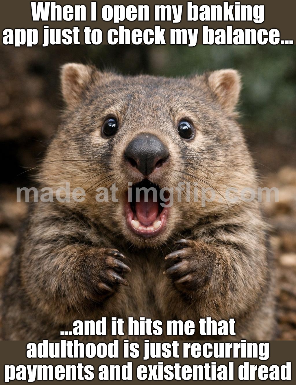 When I open my banking app just to check my balance…; …and it hits me that adulthood is just recurring payments | When I open my banking app just to check my balance…; …and it hits me that adulthood is just recurring payments and existential dread | image tagged in surprised wombat,pay,adulting,bank account,credit card,existentialism | made w/ Imgflip meme maker