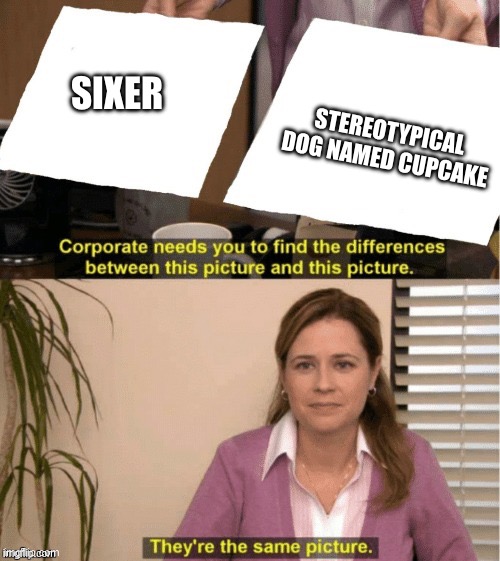 They’re the same thing | Sixer; Stereotypical dog named cupcake | image tagged in they re the same thing | made w/ Imgflip meme maker