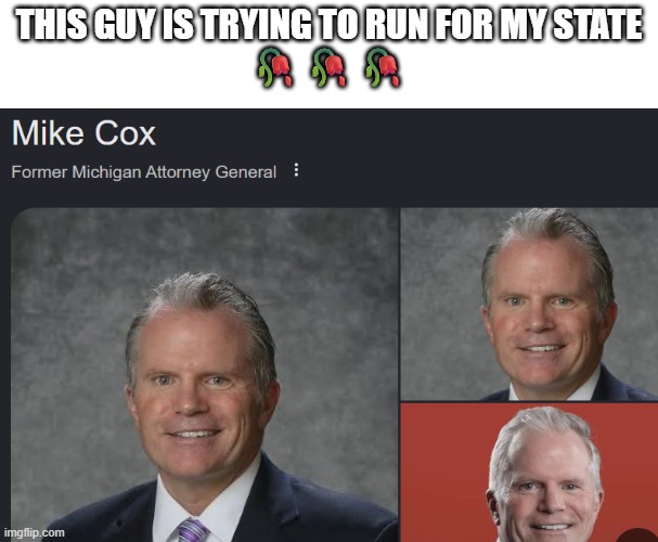 this is real, look this up ☠️ | this guy is trying to run for my state
🥀🥀🥀 | image tagged in michigan sucks,michigan,mike | made w/ Imgflip meme maker
