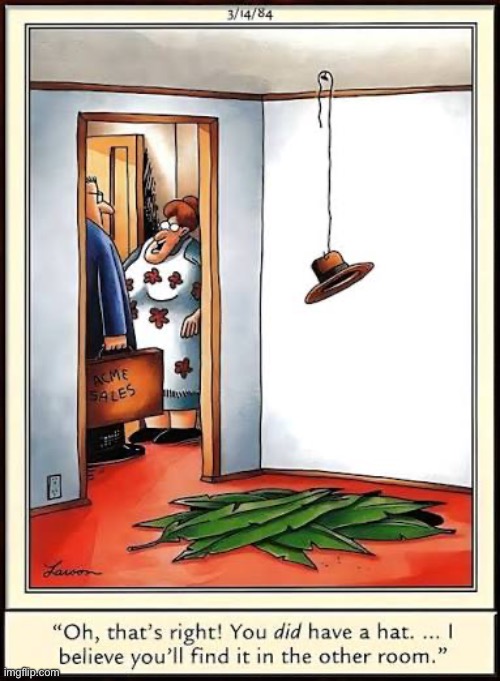 That’s one way to get rid of a pesky salesman… | image tagged in the far side,comics,salesman,housewife,trap,hat | made w/ Imgflip meme maker
