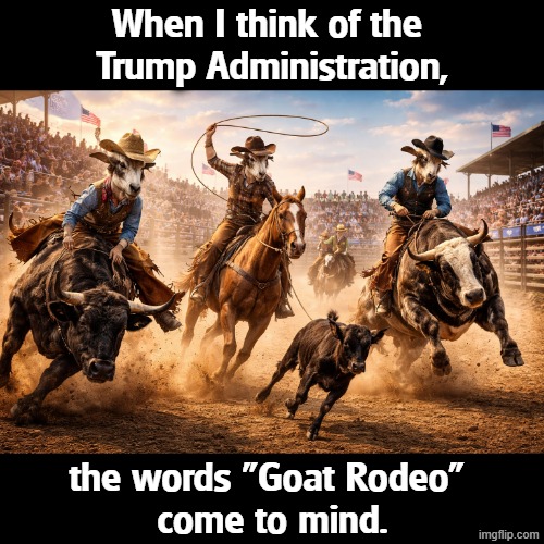 The Trump Goat Rodeo | When I think of the 
Trump Administration, the words "Goat Rodeo" 
come to mind. | image tagged in _goat rodeo png,goat rodeo,trump,incompetence,crazy,embarrassing | made w/ Imgflip meme maker